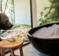 Jamala Wildlife Lodge - Accommodation Guide
