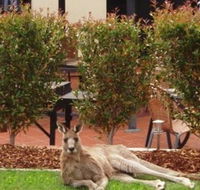 Alpha Canberra Hotel and Apartments - Accommodation China