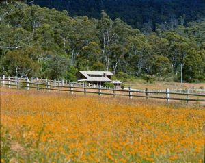 Pender Lea Alpine Guest Accommodation - Accommodation Guide 0
