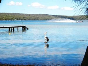 Dungowan Waterfront  Accommodation - Accommodation China 0