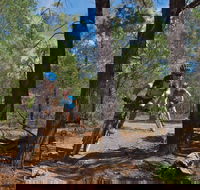 Back Yamma State Forest - Accommodation China