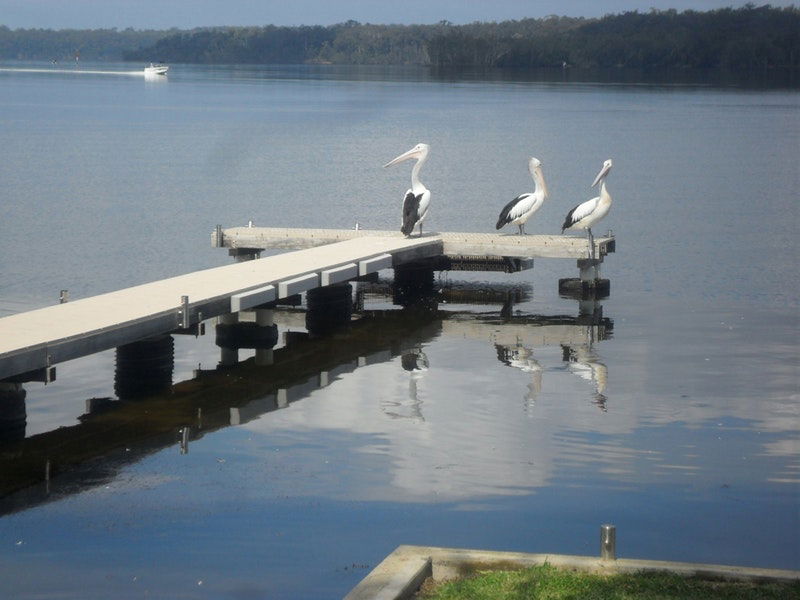 Basin View NSW Accommodation China
