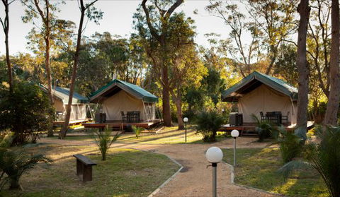 NRMA Myall Shores Holiday Park - Accommodation China 0