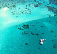 Ocean Free and Ocean Freedom - Cairns Premier Reef and Island Tours - Accommodation China