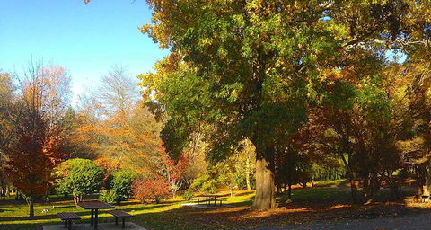 Eastern Dandenong Ranges Visitor Information Centre - Accommodation China 1