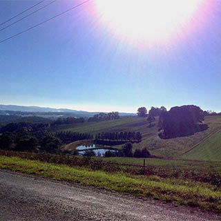 Eastern Dandenong Ranges Visitor Information Centre - Accommodation China 9