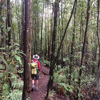 Eastern Dandenong Ranges Visitor Information Centre - Accommodation China 11