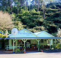 Tarra Valley Caravan Park - Accommodation Guide