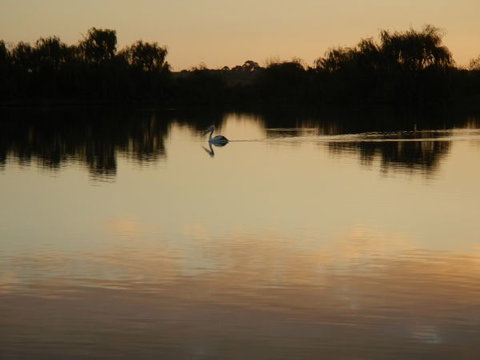 Washpool Retreat - Accommodation Asia 7