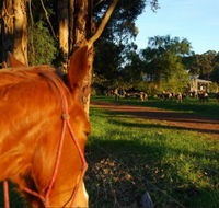 Billa Billa Farm Cottages - Accommodation Guide