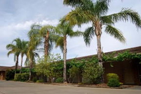 Darling Junction Motel - Accommodation Guide 2