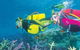 Njoy Travellers Resort - thumb 1