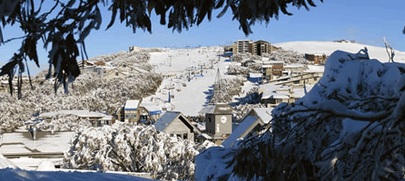 Alpine Ridge Lodge - Accommodation Guide