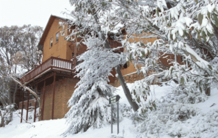  Accommodation Guide