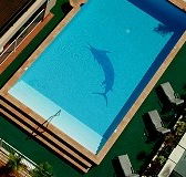 Pacific International Hotel - Accommodation China