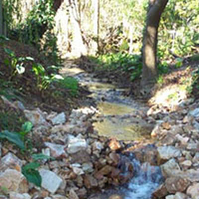 Pettswood Lodge - Accommodation Asia 3