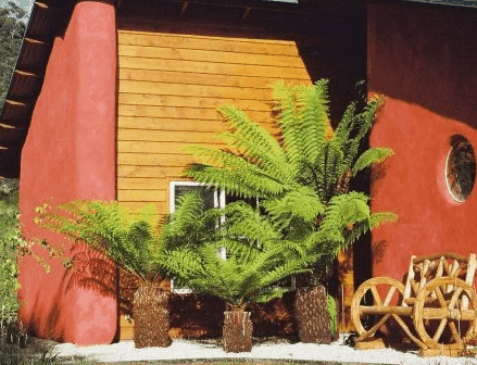 Whispering Spirit Cottage  Miniature Pony Stud - Accommodation Guide