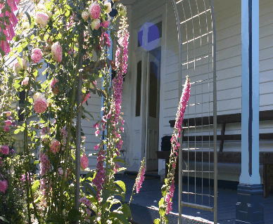 Devonport Bed And Breakfast - Accommodation Guide