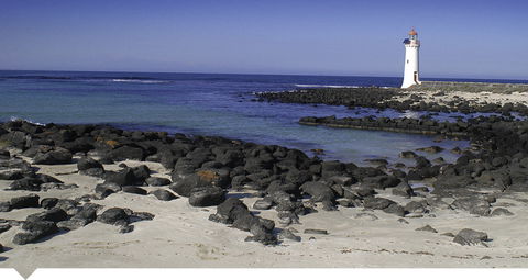 Oscars Waterfront Boutique Hotel - Accommodation Guide 3