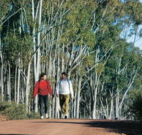 Congelin Camp at Dryandra Woodland - Accommodation China