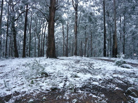 High Peaks Cottages - Accommodation Asia 0