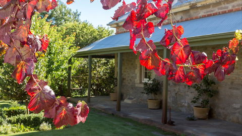 Grand Cru Estate Homestead - Accommodation Asia 0