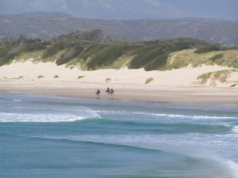 Arties Cottage Accommodation - Accommodation Asia 5