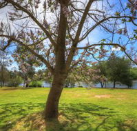 Breakaway Twin Rivers Caravan Park