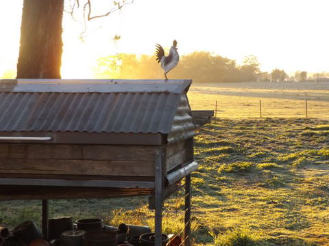 Broken Creek Bush Camp - Accommodation Guide 3