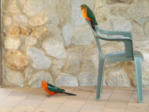 Broken Creek Bush Camp - Accommodation Guide 7