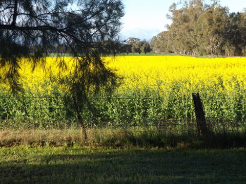 Broken Creek Bush Camp - Accommodation Guide 8