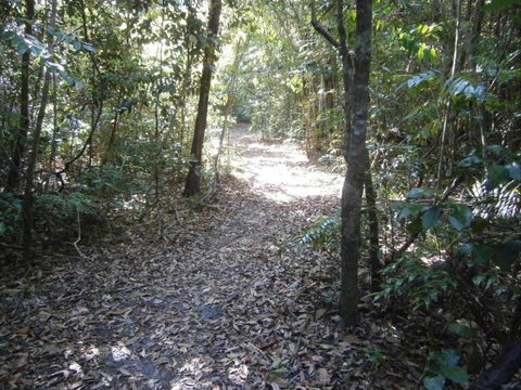 Byfield Cabins On Waterpark Creek - Accommodation Asia 5