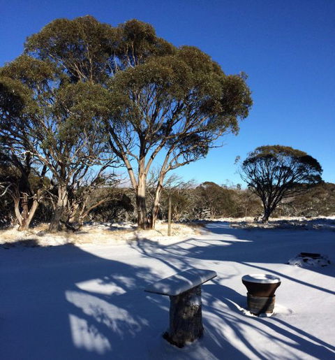 Cloud 9 Alpine Lodge - Accommodation China 9