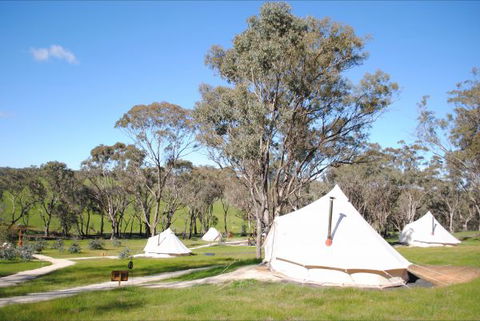 Cosy Tents - Accommodation China 5