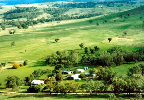 Daisyburn Homestead - Accommodation Guide 0