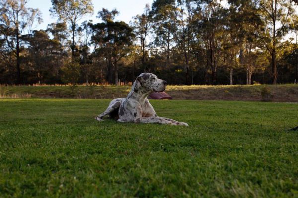 Quorrobolong NSW Accommodation China