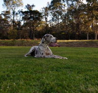 Hunter Valley Retreat - Accommodation China