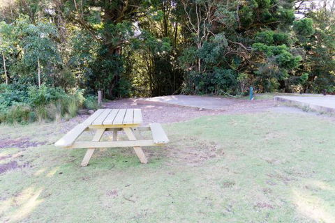 Lamington National Park Camping Ground - Accommodation China 2