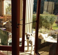 Mara Ponds Branxholm - Accommodation Guide