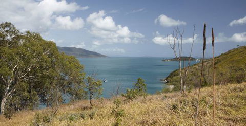Molle Island National Park (Whitsundays National Park) Camping Ground - Accommodation China 1