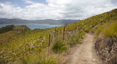 Molle Island National Park (Whitsundays National Park) Camping Ground - Accommodation China 2