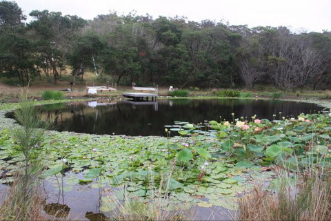 Murrah Luxury Holiday Accommodation - Accommodation Asia 8