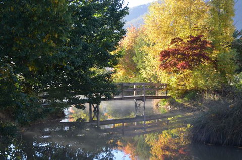 Nug Nug Wah Homestead - Accommodation China 0