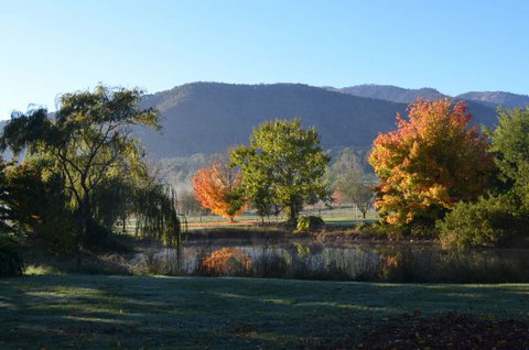 Nug Nug Wah Homestead - Accommodation China 1