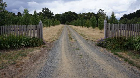 Oakhill Cottage - Accommodation Guide 7