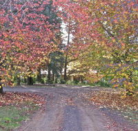 Rustic Spirit