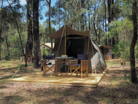 Tall Trees Camping On The Great Ocean Road - Accommodation China 0