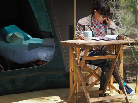 Tall Trees Camping On The Great Ocean Road - Accommodation China 1