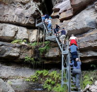 Takarakka Bush Resort Carnarvon Gorge