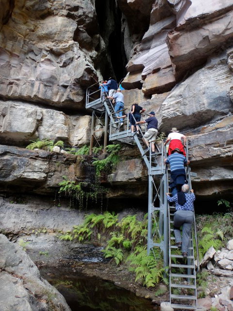 Takarakka Bush Resort Carnarvon Gorge - Accommodation Asia 0